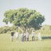 ルルルルズ/rourourourous (@rourourourous) Twitter profile photo ルルルルズ/rourourourous (@rourourourous) Twitter profile photo