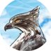 高知有志医師の会 (@kochidoctors) Twitter profile photo