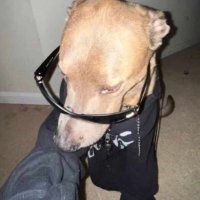 gabrat (@gabrightness) 's Twitter Profile