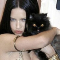 ๐๐ข๐จ๐ข ~ tomou vergonha (3/13) (@unir0nicallyhot) 's Twitter Profile