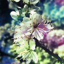 Ashley Renner - @AshleyL210 - Twitter