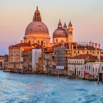 usmanyalwa1's profile picture. Animal Biologist/African/digitalpreneur