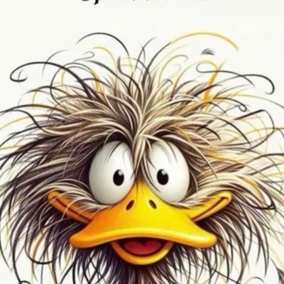 JosApar50488546's profile picture. 