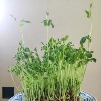 MNKW (@mnkw_ll) 's Twitter Profile