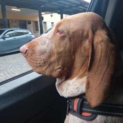 Salentino Doc,vivo a Torino. Software engineer. Difendo la mia terra,usi,costumi, tradizioni,storia,cultura,lingua. Se questo vuol dire essere razzista, lo sono