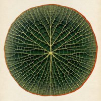 sapientiArs (L.) (@sapientiars) 's Twitter Profile Photo