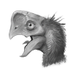 Caio Razera (@dcaier_art) Twitter profile photo Caio Razera (@dcaier_art) Twitter profile photo