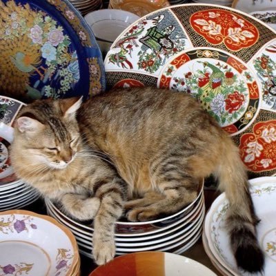 noemiemtalssi's profile picture. deen over dunya