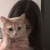 N (@negin20234) Twitter profile photo N (@negin20234) Twitter profile photo