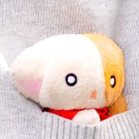 赤星 (@akahoshi_na) 's Twitter Profile
