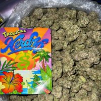 🍁MMJ User's licenced 🥦or non licensed 🍁 (@mmjalpha) 's Twitter Profile
