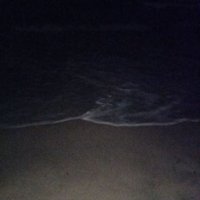 مَريَم💚. (@mariama02545559) Twitter profile photo