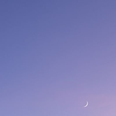 zinst1113's profile picture. 