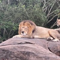 Jonathan Kidd (@darbyk80) 's Twitter Profile Photo