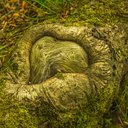 Forrest - @fcaterina786 - Twitter