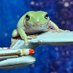 Hyperspace Frogs 🐸🚀 (@hyperspacefrogs) Twitter profile photo Hyperspace Frogs 🐸🚀 (@hyperspacefrogs) Twitter profile photo