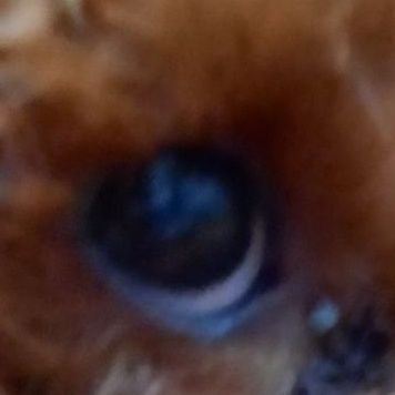 MENOTOK281926's profile picture. 