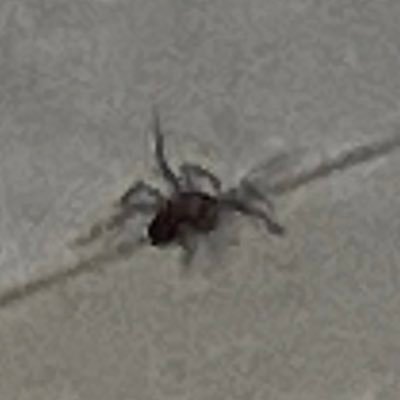 CometMason12's profile picture. 20 |  She/Her