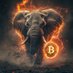 Bitcoin for Conservation Project (@btcconservation) Twitter profile photo Bitcoin for Conservation Project (@btcconservation) Twitter profile photo