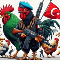 🇹🇷🐓Deli Horoz 1🐓🇹🇷 (@karahoroz2) 's Twitter Profile