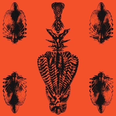 Aysegraphics's profile picture. 