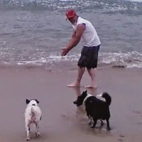 jeff brown (@jeffmb52) 's Twitter Profile