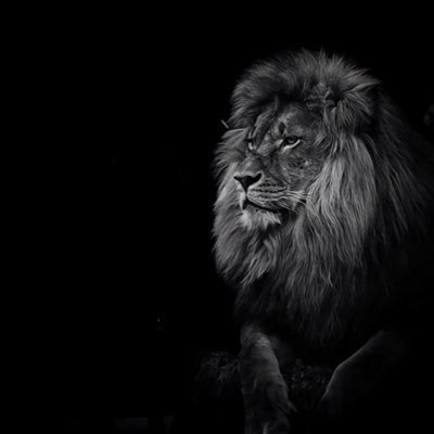 GP at MOH || content creator @your_TwoCents || 🇰🇼|🇪🇬|| Squash || Runner || Chess II 55MU