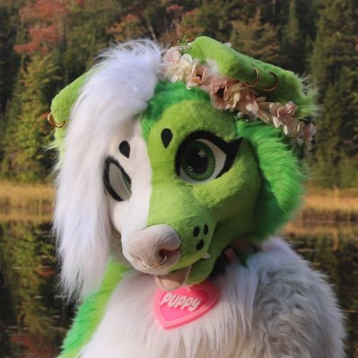 ✨Lotus✨ | 24 | She/Her | Pansexual | sheltie🐾 |💕@audiocanine |🇺🇸🇩🇪🏳️🌈| 🔞no minors | fashion