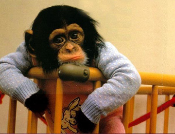 Dzituks's profile picture. 