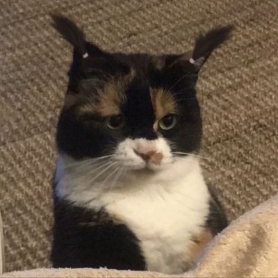 thaiskidd0's profile picture. tão perdida quanto você