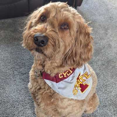 computer science student @northerniowa| @GA alum I https://t.co/LPCs1ltYhK I Challenger TFT 1285 lp peak | former smite pro