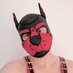 Pup Osian ๐ด๓ ง๓ ข๓ ท๓ ฌ๓ ณ๓ ฟ (@osian_ci_bach) Twitter profile photo Pup Osian ๐ด๓ ง๓ ข๓ ท๓ ฌ๓ ณ๓ ฟ (@osian_ci_bach) Twitter profile photo