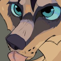 Cove🔞 (@coyotefurcove) 's Twitter Profile Photo Cove🔞 (@coyotefurcove) 's Twitter Profile Photo