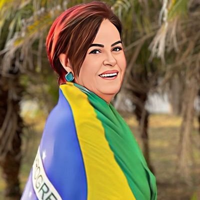 Patriota, de direita ,pelos princípios judaicos cristãos.