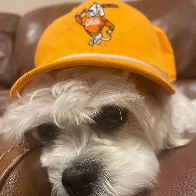 JamieLemay's profile picture. Christian, Dad, Husband, Tennessee Vol 4 Life!