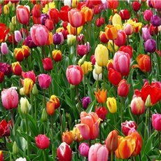 yuzuki874333's profile picture. 副業で収入を増やすコツを紹介中。副業初心者に有益な情報をお届け。僅かですが10万円プレゼント企画もしております♪ 期間限定→ https://t.co/XgIJbt60Bw