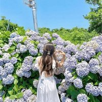 Kano (@kano970091) 's Twitter Profile