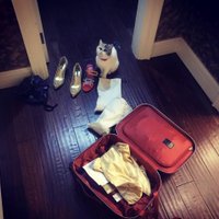 McThysme (@mcthysmegpczbi) 's Twitter Profile