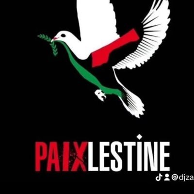 🇲🇦🇧🇪