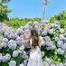 Mia (@mia467496945590) Twitter profile photo Mia (@mia467496945590) Twitter profile photo