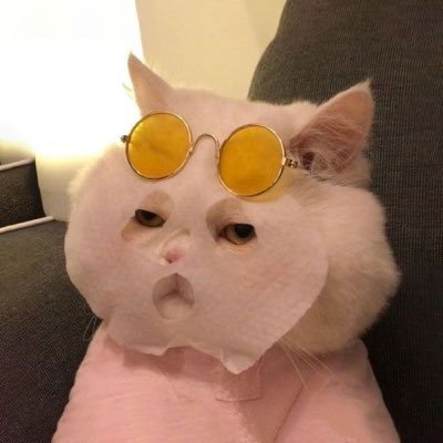 shipperdocontra's profile picture. Nem sei o que tô fazendo aqui ✌🏻🌻✨