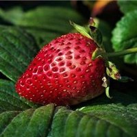 Hiiro (@hiiro780965587) 's Twitter Profile