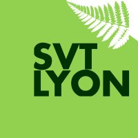 SVT Lyon (@svtlyon) 's Twitter Profile Photo SVT Lyon (@svtlyon) 's Twitter Profile Photo