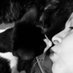 Ofelia Morales (@ofismorales) Twitter profile photo Ofelia Morales (@ofismorales) Twitter profile photo