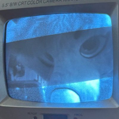 see you elsewhere!さんのプロフィール画像