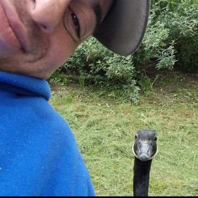 webbedfrogs's profile picture. Carp angler with Dragon Ball drive, gamer, poet, and stoner vibes. From casting lines to leveling up, I find peace where the adventure thrives. 🎣🕹️🌿