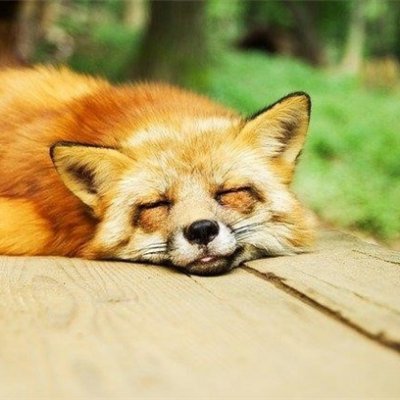 nahomi392821's profile picture. 副業で収入を増やすコツを紹介中。副業を始めたい人に役立つ情報を提供。少額ですがプレゼント企画も始めました♬ なくなり次第終了➡ https://t.co/H1eeR42Rlo