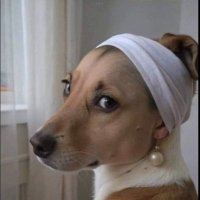 GAL ๐ฆ๐ป๐ถ๐ฑ๐๐ฐ (@maineggal) 's Twitter Profile
