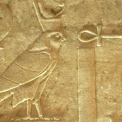 les oiseaux volent, les poissons nagent, les humains (se) racontent des histoires.... 𓅃