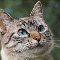 サユナ (@sayuna1189363) 's Twitter Profile